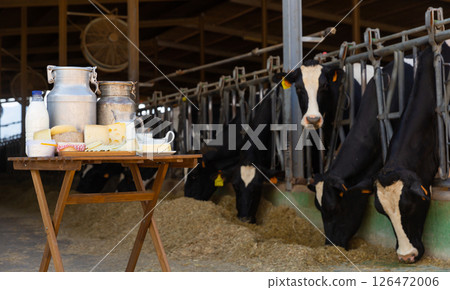 Image of dairy products on the farm 126472006