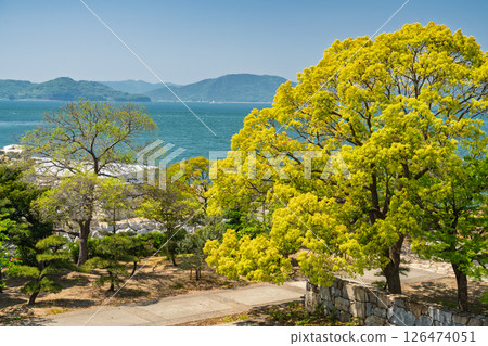 <香川縣>瀨戶內海和新綠 126474051