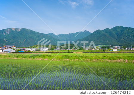 鈴鹿山麓鄉村的插秧活動（三重縣四日市市） 126474212