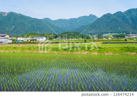 鈴鹿山麓鄉村的插秧活動(三重縣四日市市) 鈴鹿山麓鄉村的插秧活動(三重縣四日市市) 126474214