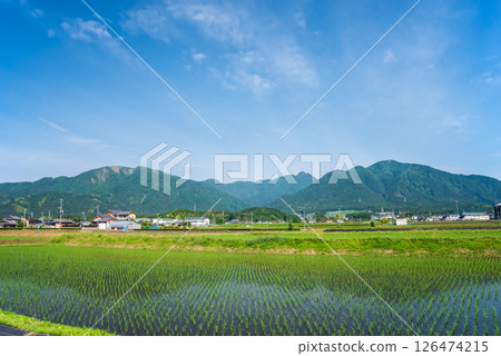 鈴鹿山麓鄉村的插秧活動(三重縣四日市市) 鈴鹿山麓鄉村的插秧活動(三重縣四日市市) 126474215