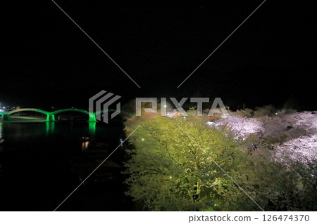 Iwakuni's beautiful night view with illuminated Kintai Bridge and cherry blossoms 126474370