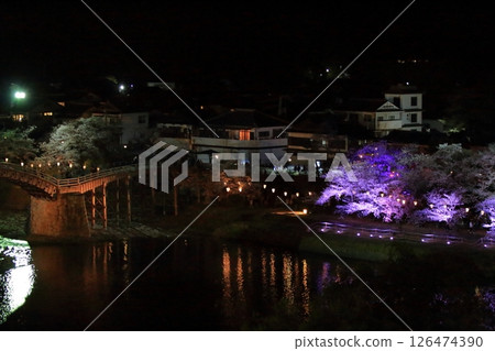 Illuminated cherry blossoms along the Nishiki River in Iwakuni Illuminated cherry blossoms along the Nishiki River in Iwakuni 126474390