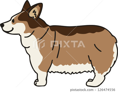 一隻可愛的黑貂色柯基犬的側面插圖 126474556