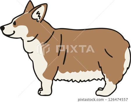 Illustration of a cute red-colored corgi seen from the side Illustration of a cute red-colored corgi seen from the side 126474557