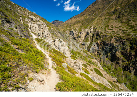 Natural stone mushrooms rock formations in Altai Russia Famous geological landmark and popular tourist attraction Natural stone mushrooms rock formations in Altai Russia Famous geological landmark and popular tourist attraction 126475254