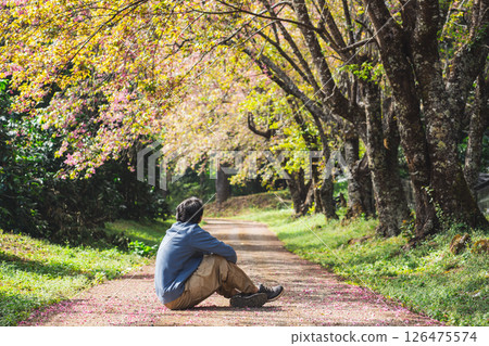 solo traveler in nature concept with asian man camping and sightseeing with pink cherry blossom tree in springtime season solo traveler in nature concept with asian man camping and sightseeing with pink cherry blossom tree in springtime season 126475574