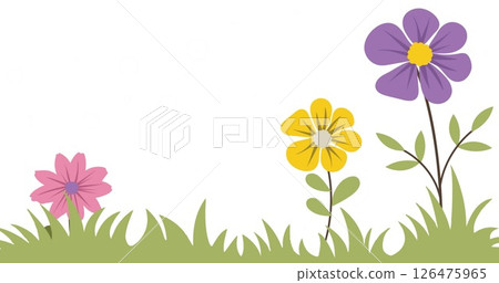 Image of colourful flowers on white background Image of colourful flowers on white background 126475965