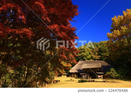 北上市岩手陸奧紅葉民俗村 126476486