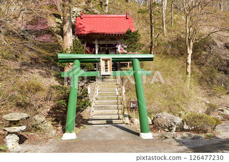 拍攝北海道函館市春天的湯之澤神社境內 拍攝北海道函館市春天的湯之澤神社境內 126477230