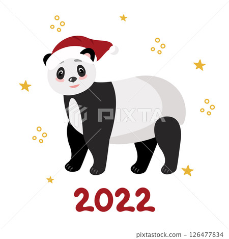 Christmas and New Year's card with a panda in a red riding hood, 2022. Vector clipart, isolated illustration 126477834