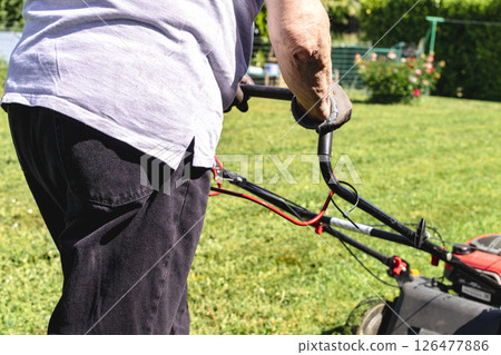 Mowing the lawn with a machine in a garden 126477886