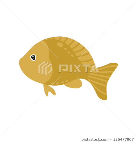 The goldfish is cute, with fins and a tail. Vector marine illustration. Isolated on a white background. The goldfish is cute, with fins and a tail. Vector marine illustration. Isolated on a white background. 126477907