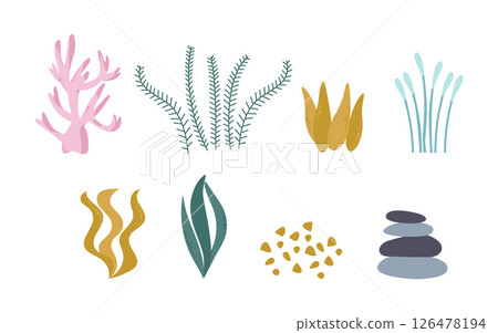Seaweed and coral, a set of cute plants from the ocean. Vector illustration isolated on a white background. Seaweed and coral, a set of cute plants from the ocean. Vector illustration isolated on a white background. 126478194