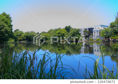 東京練馬區石神井公園美麗清新的綠地 126478672