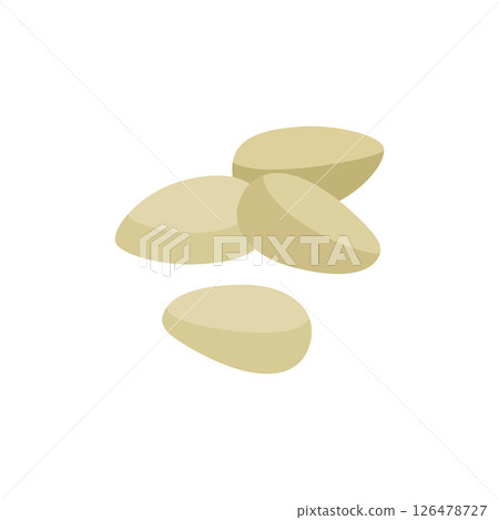 Cedar nut, the kernel is milky natural color. Vector illustration isolated on a white background for website design of products, applications, printing Cedar nut, the kernel is milky natural color. Vector illustration isolated on a white background for website design of products, applications, printing 126478727