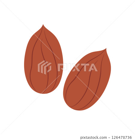 Peanuts are a nut, the core is brick-colored. Vector illustration isolated on white background for website design of products, applications, printing 126478736
