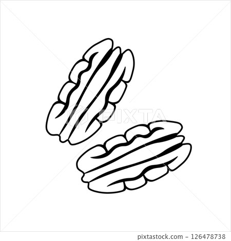 Pecan is an ordinary nut, silhouette, badge. Vector linear illustration isolated on a white background for website design of products, applications, printing 126478738