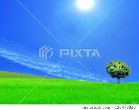 Background of a single tree standing in a grassland and a sky with a contrail 126478820