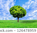 Vast expanse of clouds, a single tree with fresh green leaves, and a grassland 126478959