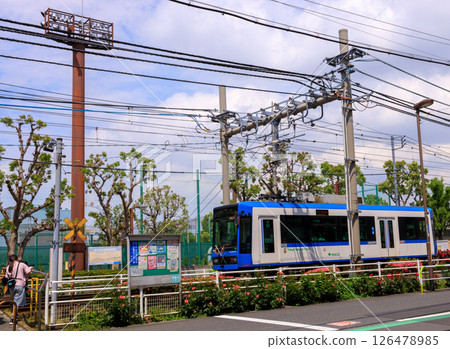 Scenery around a small railroad crossing on the Toden Arakawa Line 126478985