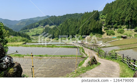 Overlooking the rice terraces just after planting, under the clear blue sky of May and decorated with fresh greenery (Yotsuya Senmaida, Shinshiro City, Aichi Prefecture) 126479000