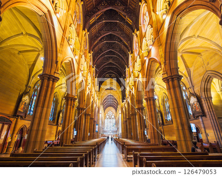 Sydney St Mary's Cathedral 126479053
