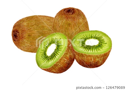 色鉛筆畫的整個和半切的綠色獼猴桃 126479089