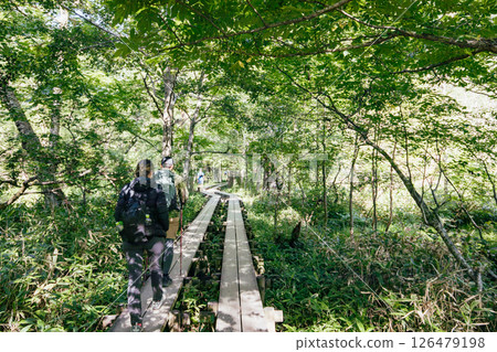 <Nagano> Kamikochi trekking <Nagano> Kamikochi trekking 126479198