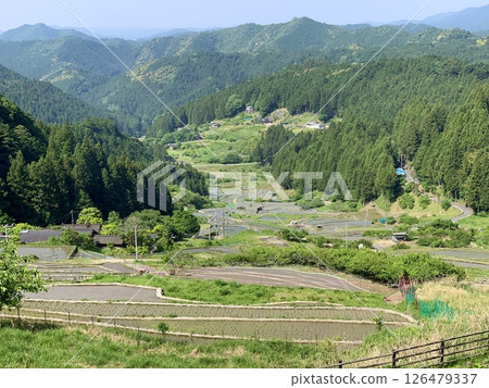 從觀景台可以俯瞰五月蔚藍的天空和新綠交相輝映、剛插秧的梯田（愛知縣新城市四谷千枚田） 126479337