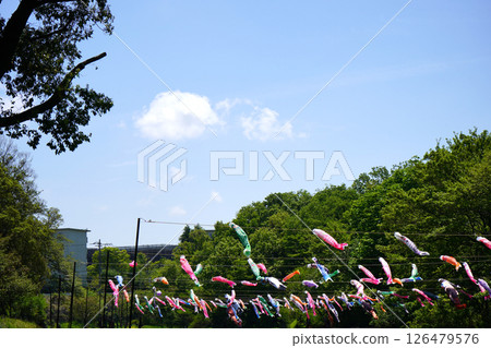 Lots of carp streamers, outdoors Lots of carp streamers, outdoors 126479576