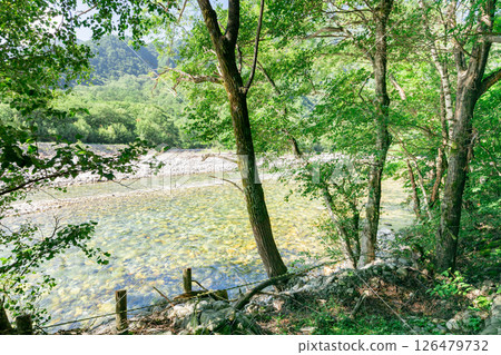 <長野>上高原森林風景 126479732