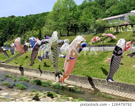 Colorful carp streamers float in the fresh breeze amid the clear blue sky and fresh greenery of May (Aoki River, Okazaki City, Aichi Prefecture) 126479792