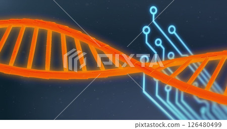 Image of dna stand over data processing and circuit board 126480499