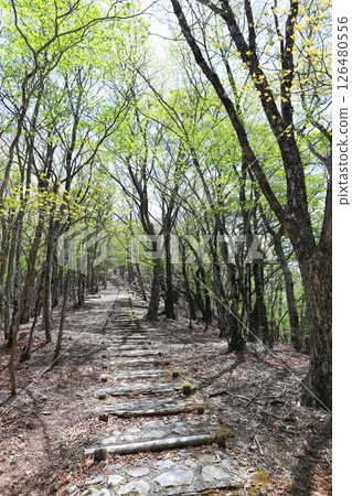 新鮮的綠山 新鮮的綠山 126480556