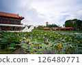 landscape of the Chinese Garden lily pond 126480771
