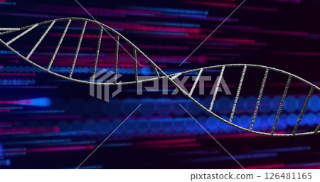 Image of dna strand over colourful light trails on black background Image of dna strand over colourful light trails on black background 126481165