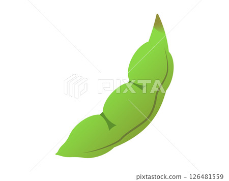 Simple edamame illustration Simple edamame illustration 126481559