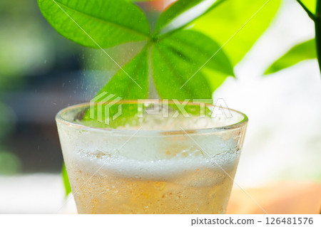 具有綠色背景的玻璃 126481576