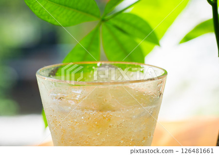 冰薑汁汽水 冰薑汁汽水 126481661