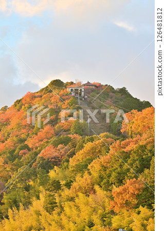 日牟禮八幡神社:深秋的八幡山索道 日牟禮八幡神社:深秋的八幡山索道 126481812