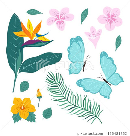 tropical plants set, flat style tropical plants set, flat style 126481862