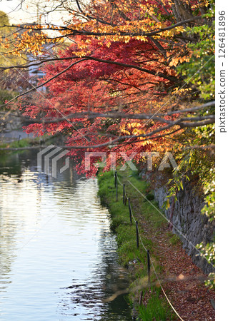Hachimanbori Water Town Tour Autumn 2023 126481896