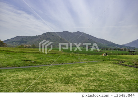 Hiruzen Jersey Land, Maniwa City, Okayama Prefecture Hiruzen Jersey Land, Maniwa City, Okayama Prefecture 126483044