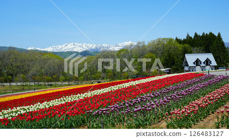 Hirugano高原的田園村莊 126483127