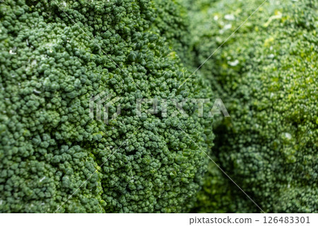 Vibrant Green Broccoli Head Close-Up with Rich Detail. Vibrant Green Broccoli Head Close-Up with Rich Detail. 126483301