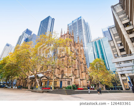 雪梨聖安德魯大教堂 雪梨聖安德魯大教堂 126483361