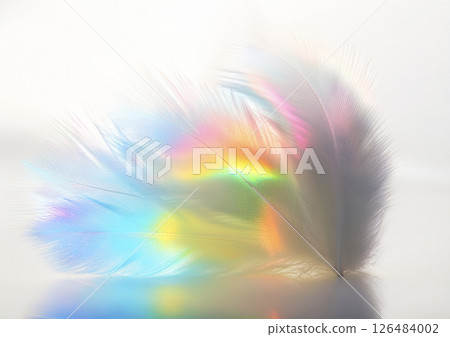 彩虹般的光芒照耀在鳥兒的翅膀上 彩虹般的光芒照耀在鳥兒的翅膀上 126484002