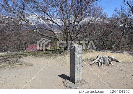 小諸城跡與懷舊庭園:天守閣基座 小諸城跡與懷舊庭園:天守閣基座 126484162