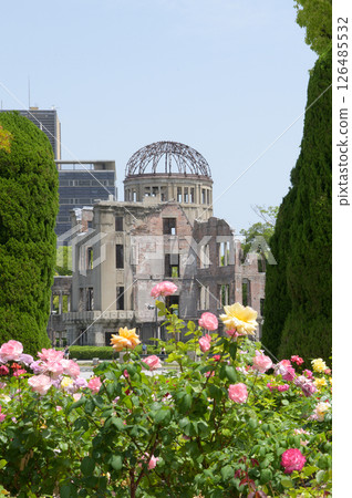 廣島和平紀念公園的玫瑰與原子彈爆炸圓頂屋 126485532